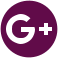 Google Icon