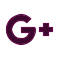 google icon