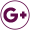 Google Icon