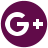 google icon