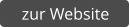 zur Website